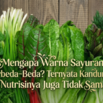 Mengapa Warna Sayuran Berbeda-Beda? Ternyata Kandungan Nutrisinya Juga Tidak Sama